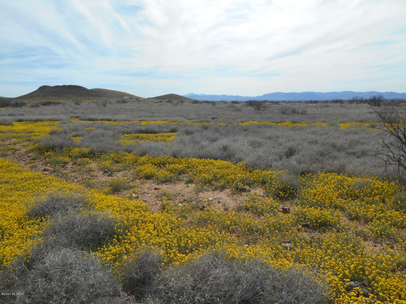 Tbd Double Ranch East McNeal, AZ 85617 - Photo 13 of 24 Gallery Image 13