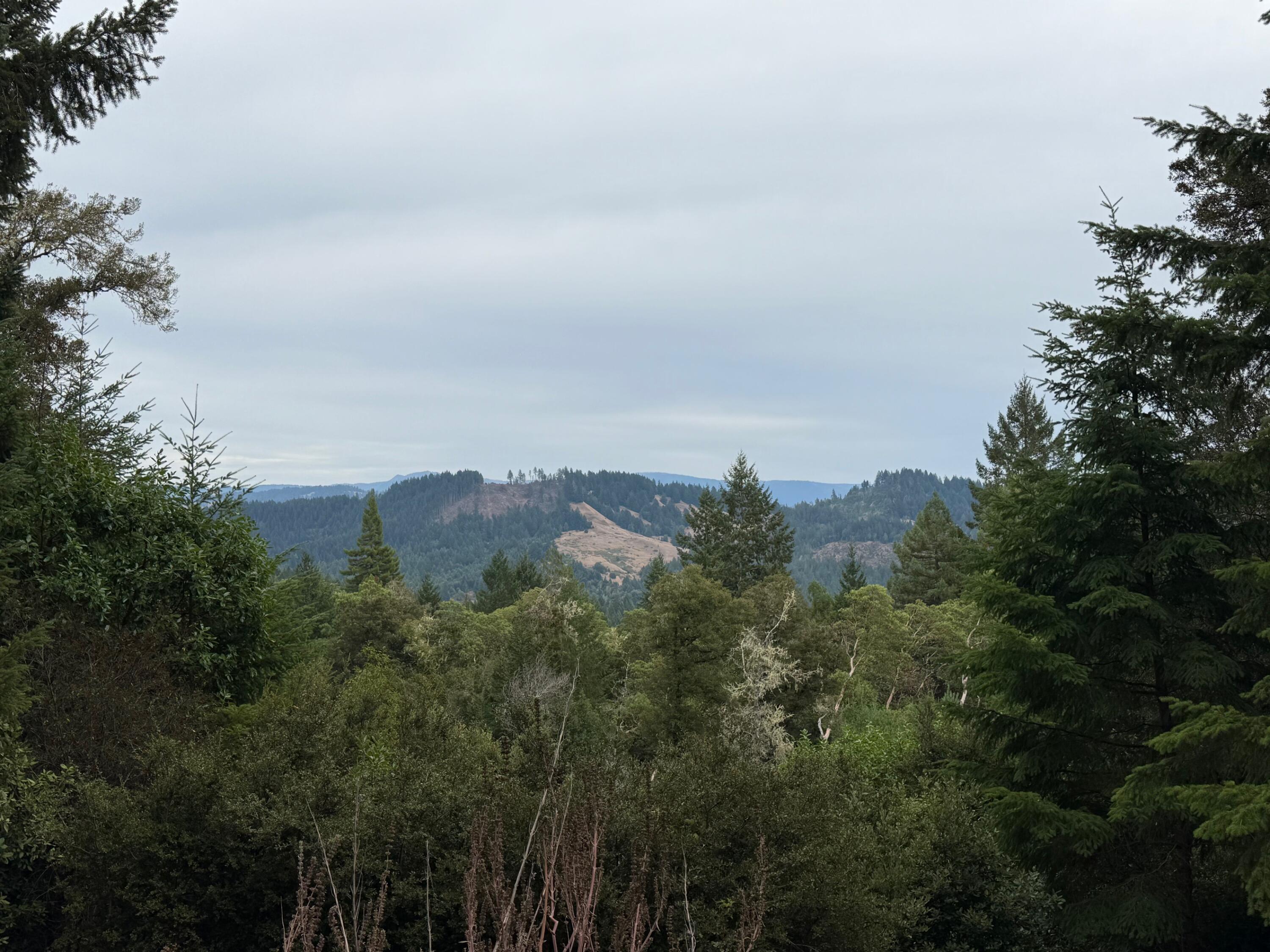 9819 Dyerville Loop Road Myers Flat, CA 95554 - Photo 23 of 27