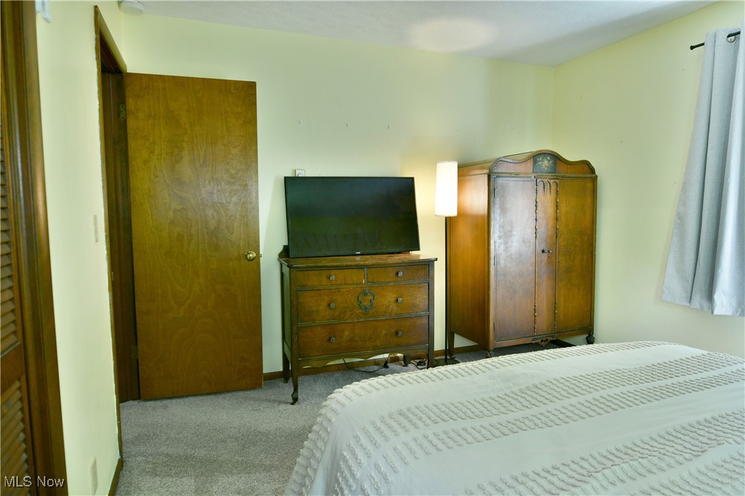 5531 Phillips Rice Road Cortland, OH 44410 - Photo 35 of 50 Bedroom featuring carpet floors