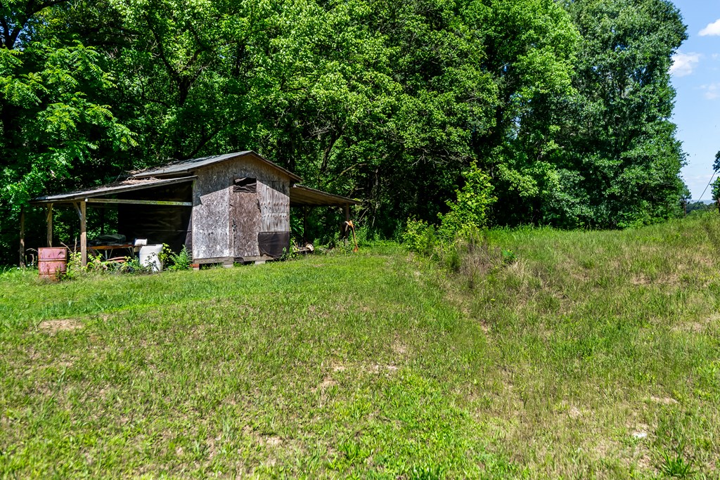 773 Fairview Road Jasper, GA 30143 - Photo 35 of 73
