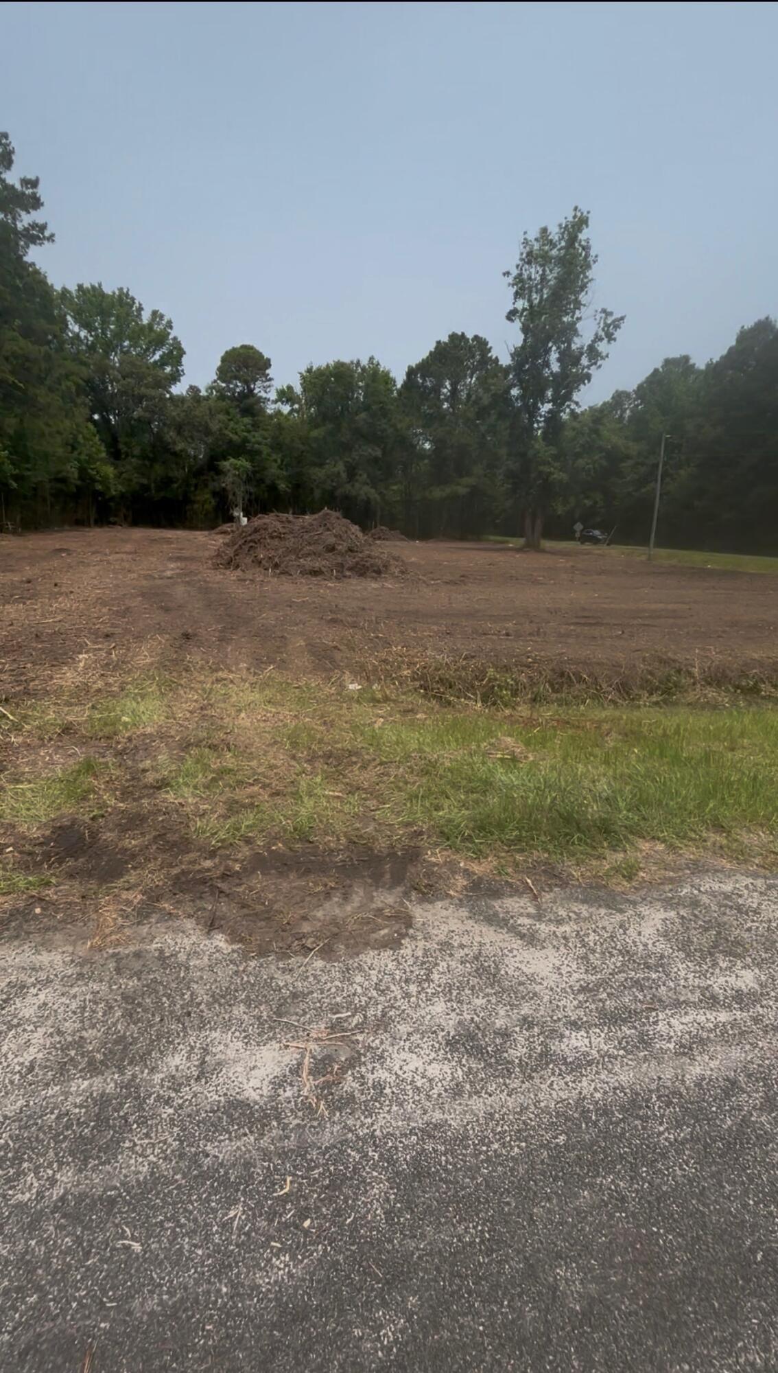 219 Russell Circle St. George, SC 29477 - Photo 5 of 6 IMG_2915