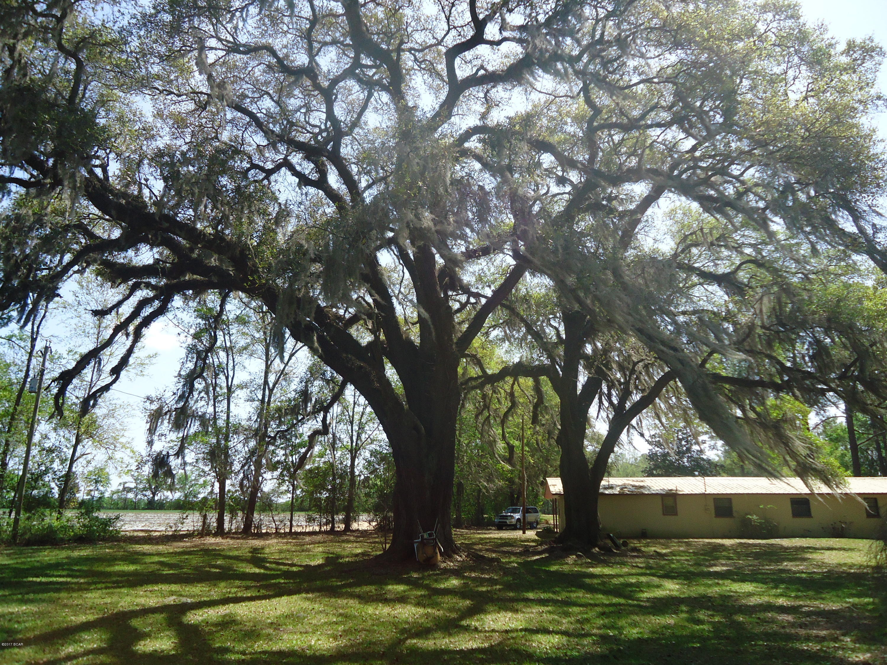6144 Colorado Road Marianna, FL 32448 - Photo 12 of 34 Gallery Image 12