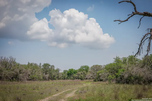 a view of a lake with a yard and large trees