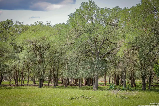 a view of a lake with trees in the background