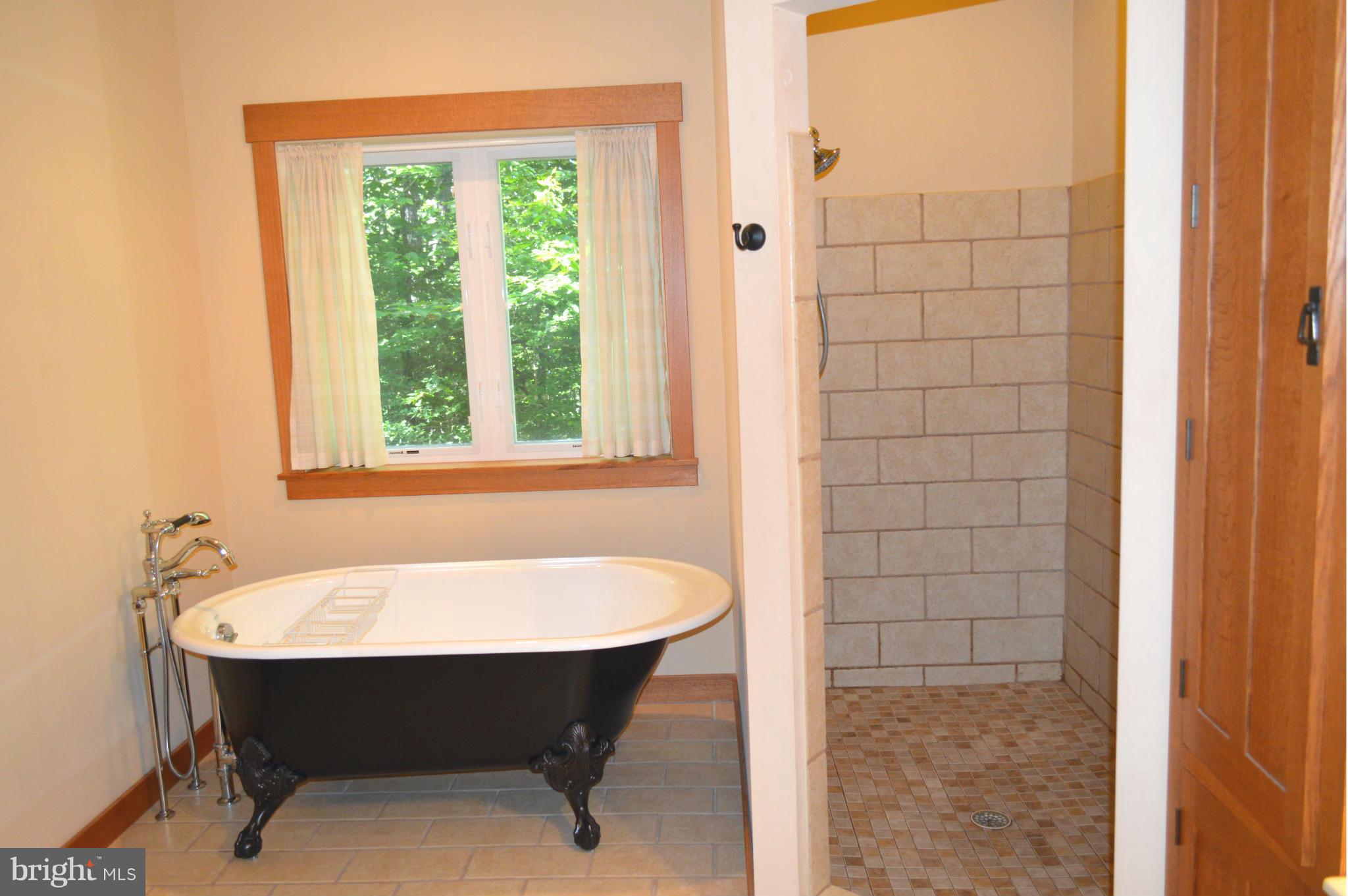 14450 Molly Berry Road Brandywine, MD 20613 - Photo 21 of 29 Bath (Master)