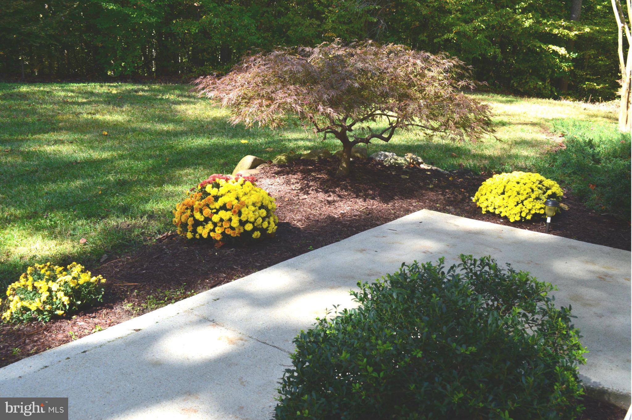 14450 Molly Berry Road Brandywine, MD 20613 - Photo 6 of 29 Exterior (General)