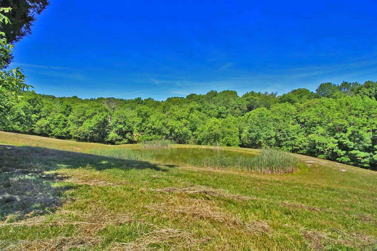 3664 Mink Run Road Frankfort, KY 40601 - Photo 66 of 84 Property View with Pond