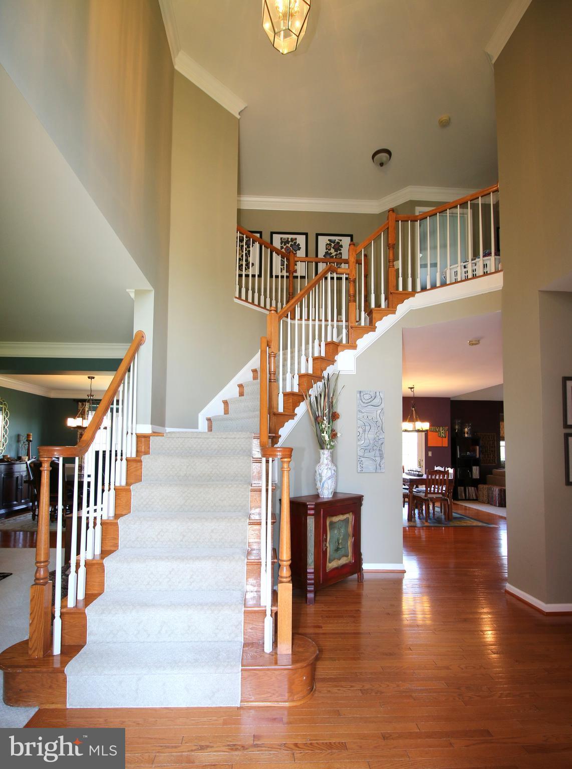 25920 Quinlan Street Chantilly, VA 20152 - Photo 2 of 26 Foyer-Welcome Home!