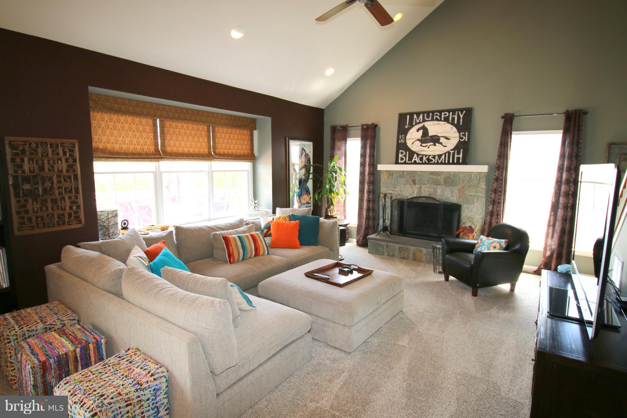 25920 Quinlan Street Chantilly, VA 20152 - Photo 6 of 26 Family Room with Vaulted Ceilings & Stone FP