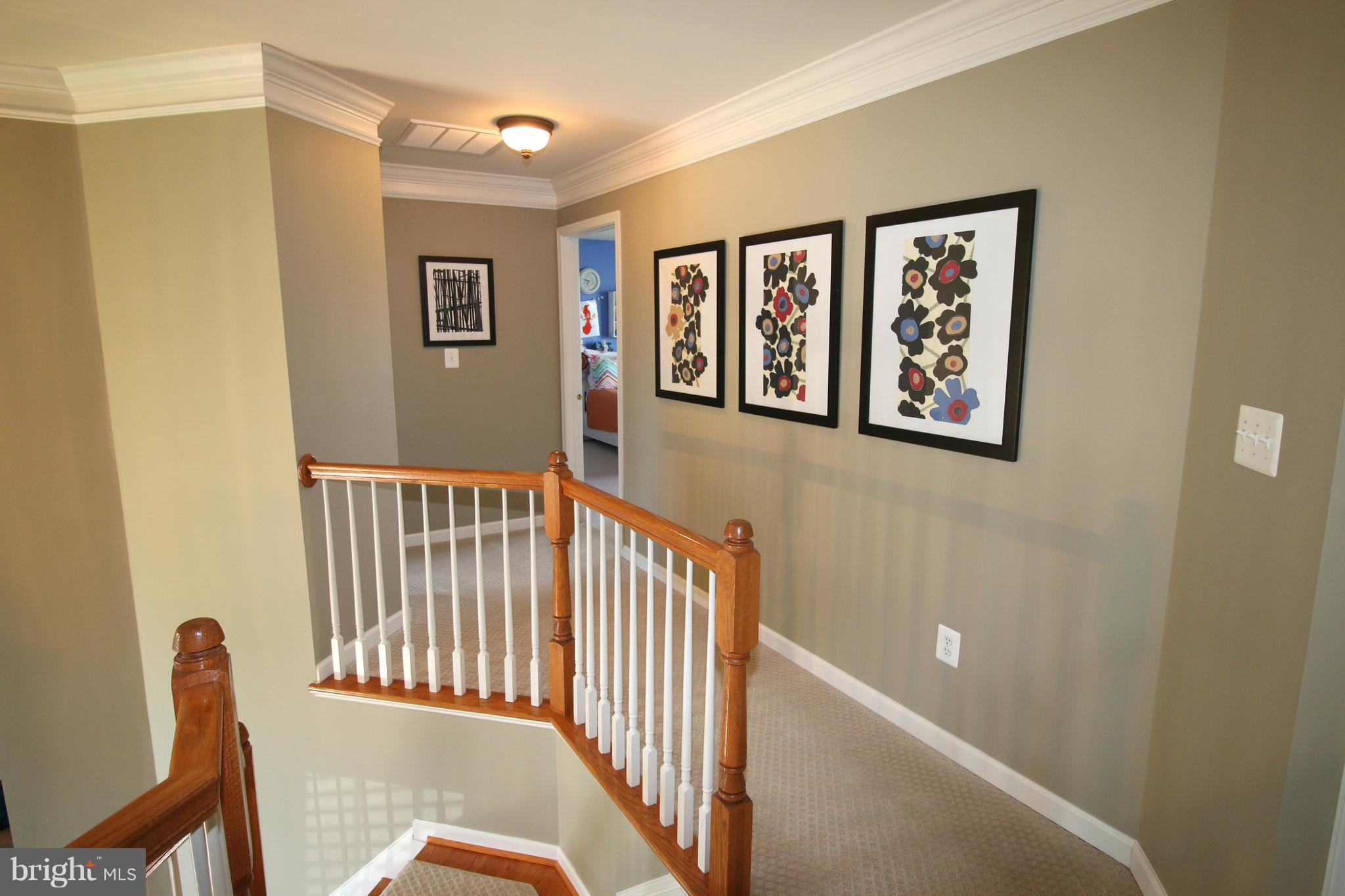 25920 Quinlan Street Chantilly, VA 20152 - Photo 9 of 26 Upstairs Hallway