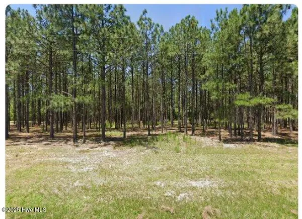$300,000 | 1890 Flowers Road, Jackson Springs, NC 27281