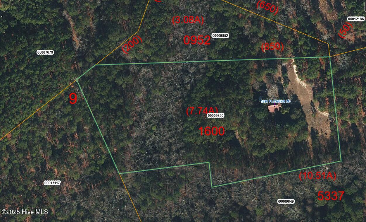 1890 Flowers Road Jackson Springs, NC 27281 - Photo 2 of 6 1890 Flowers Rd_GIS_2