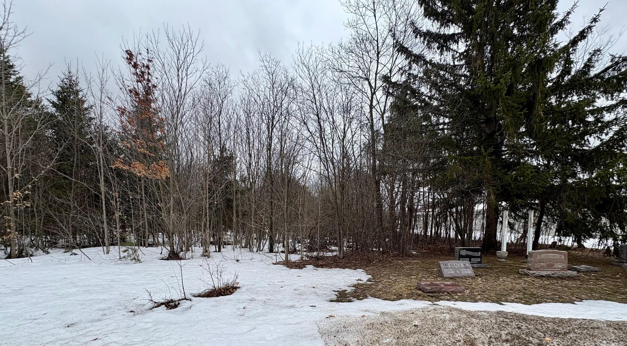 0 Cedar River Road Mancelona, MI 49659 - Photo 6 of 6