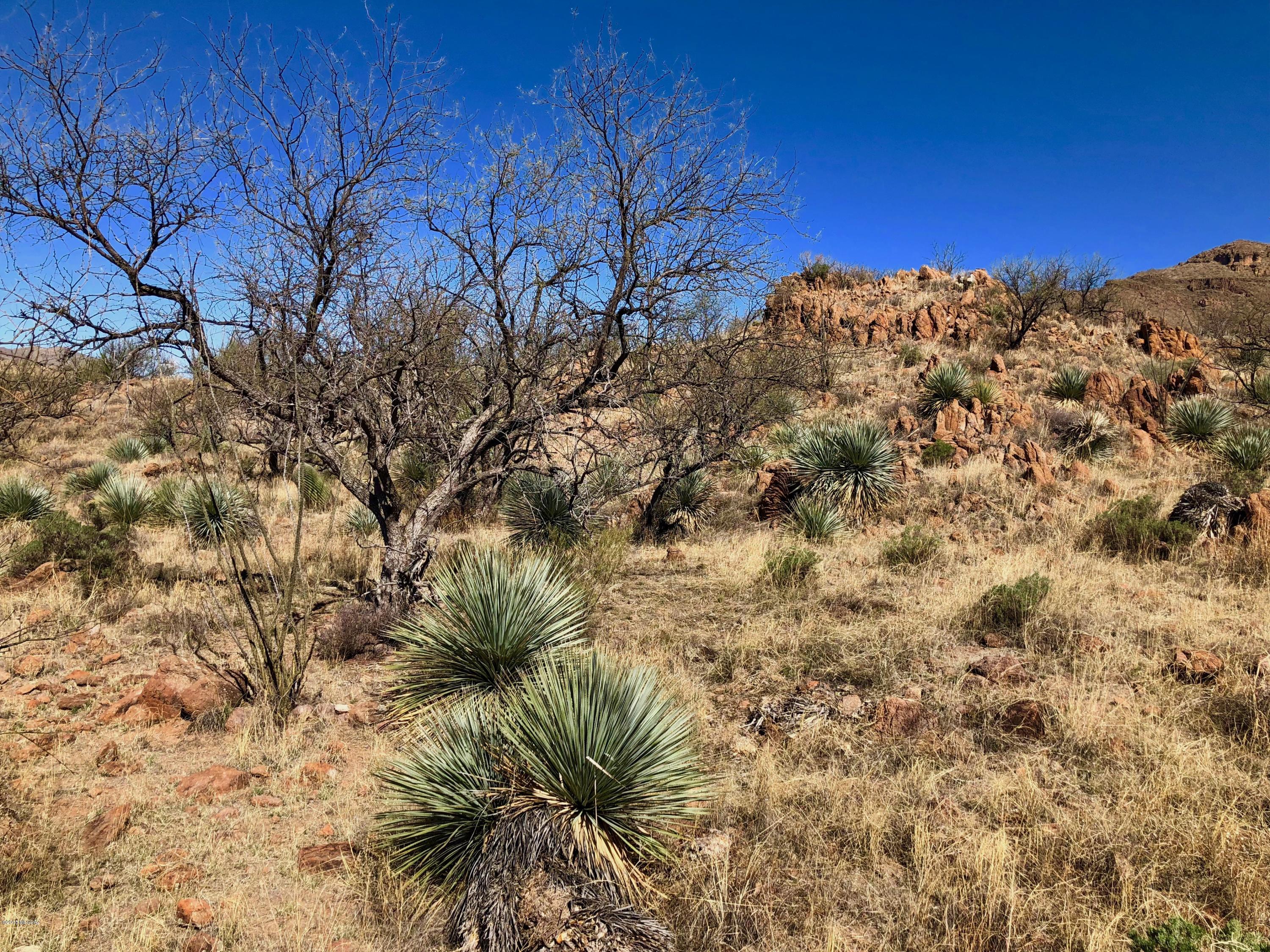 61 Salida Springs Way, Unit 139/7 Rio Rico, AZ 85648 - Photo 8 of 28