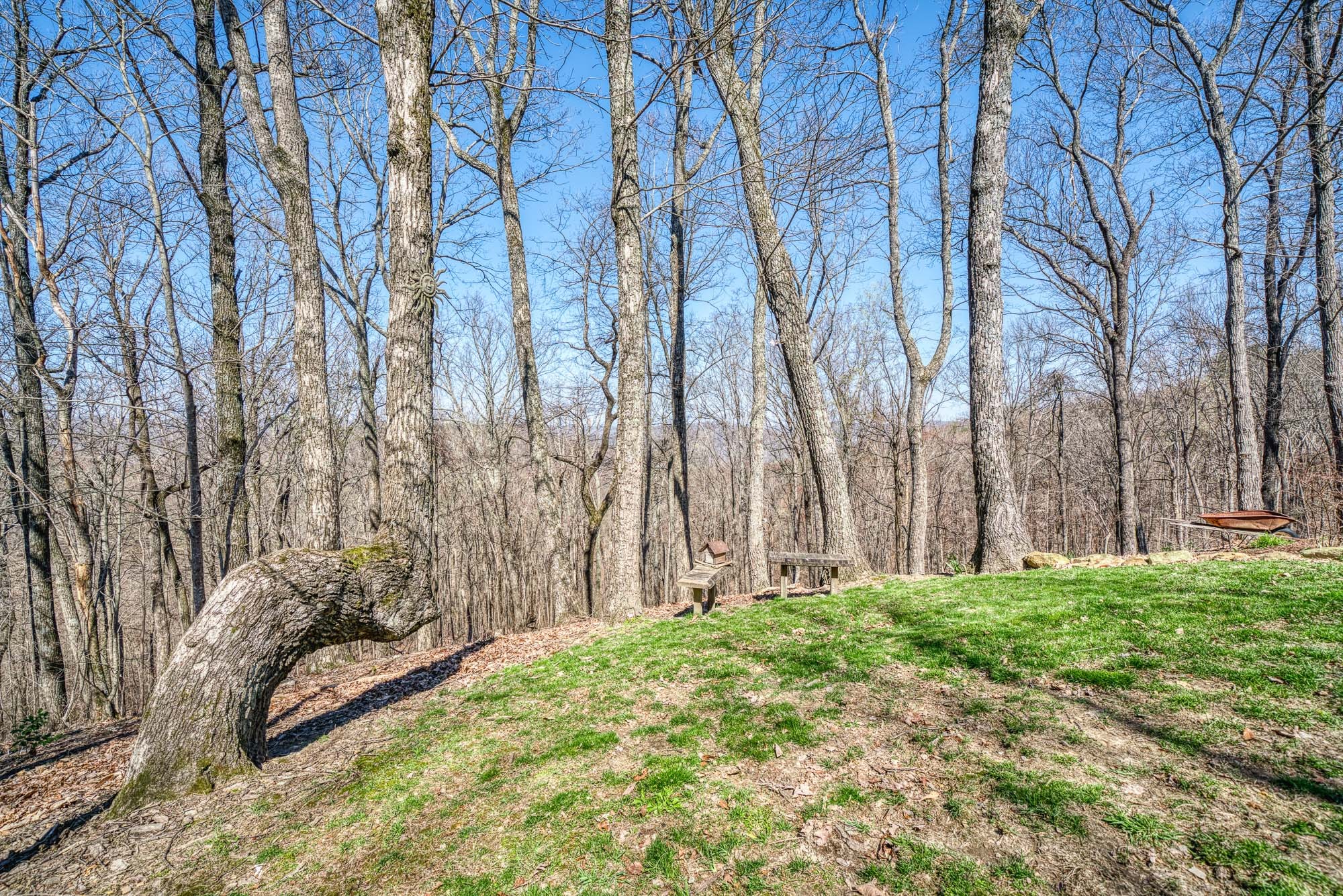 1668 Buckner Road Monterey, TN 38574 - Photo 20 of 25 Gallery Image 20