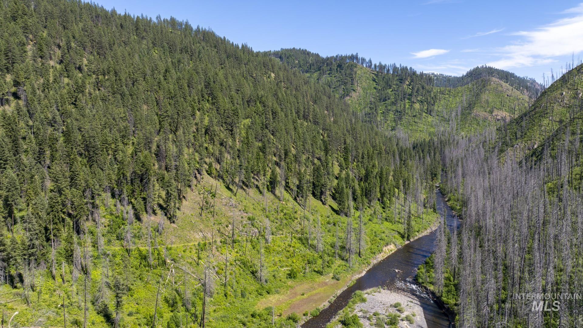 0 Forest Garden Lane Weippe, ID 83553 - Photo 12 of 17