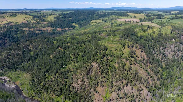 $149,900 | 0 Forest Garden Lane, Weippe, ID 83553