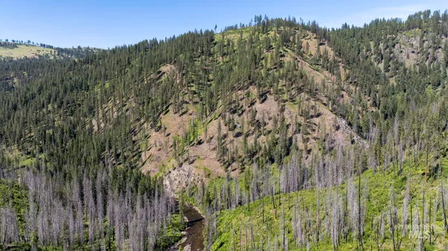 $149,900 | 0 Forest Garden Lane, Weippe, ID 83553