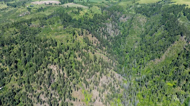 $149,900 | 0 Forest Garden Lane, Weippe, ID 83553