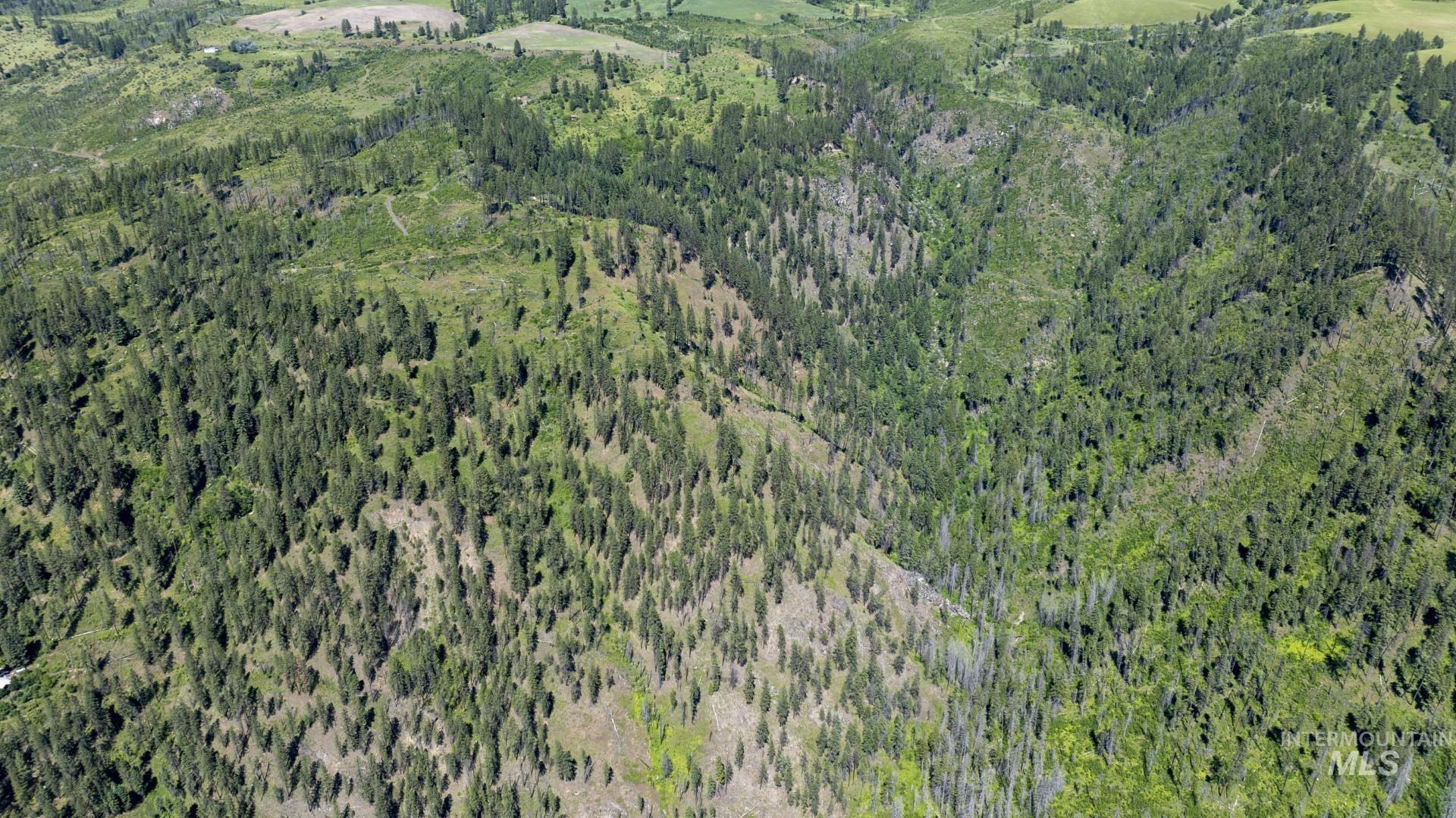 0 Forest Garden Lane Weippe, ID 83553 - Photo 15 of 17