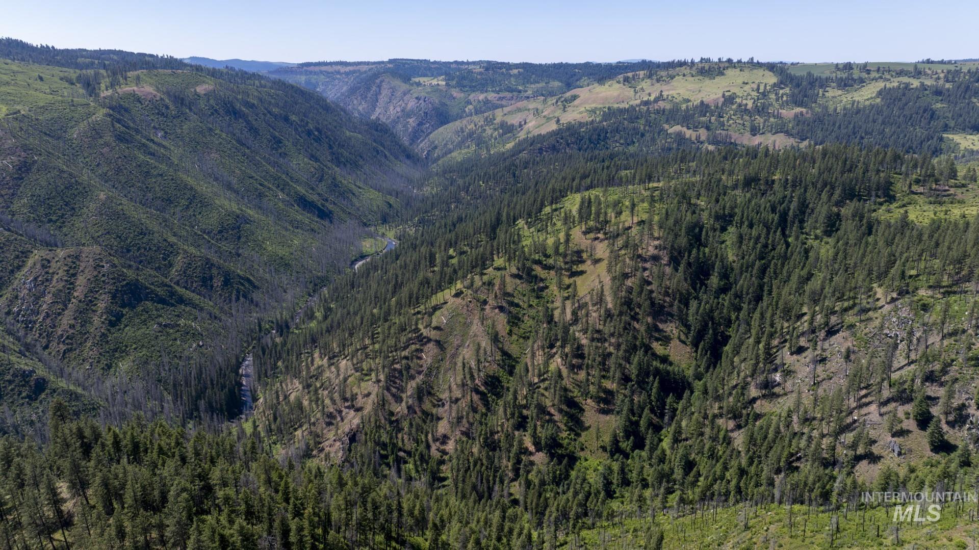 0 Forest Garden Lane Weippe, ID 83553 - Photo 16 of 17