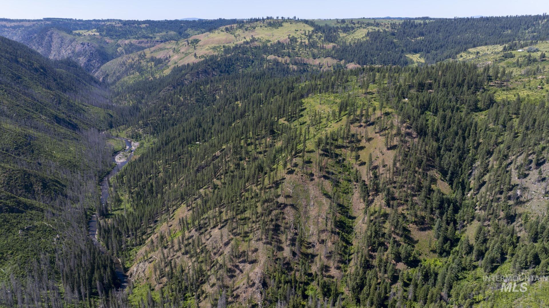 0 Forest Garden Lane Weippe, ID 83553 - Photo 17 of 17