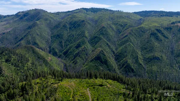 $149,900 | 0 Forest Garden Lane, Weippe, ID 83553