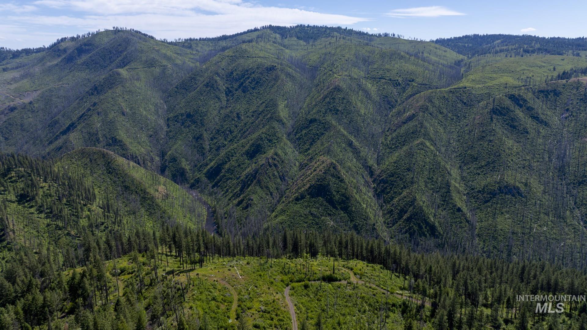 0 Forest Garden Lane Weippe, ID 83553 - Photo 2 of 17
