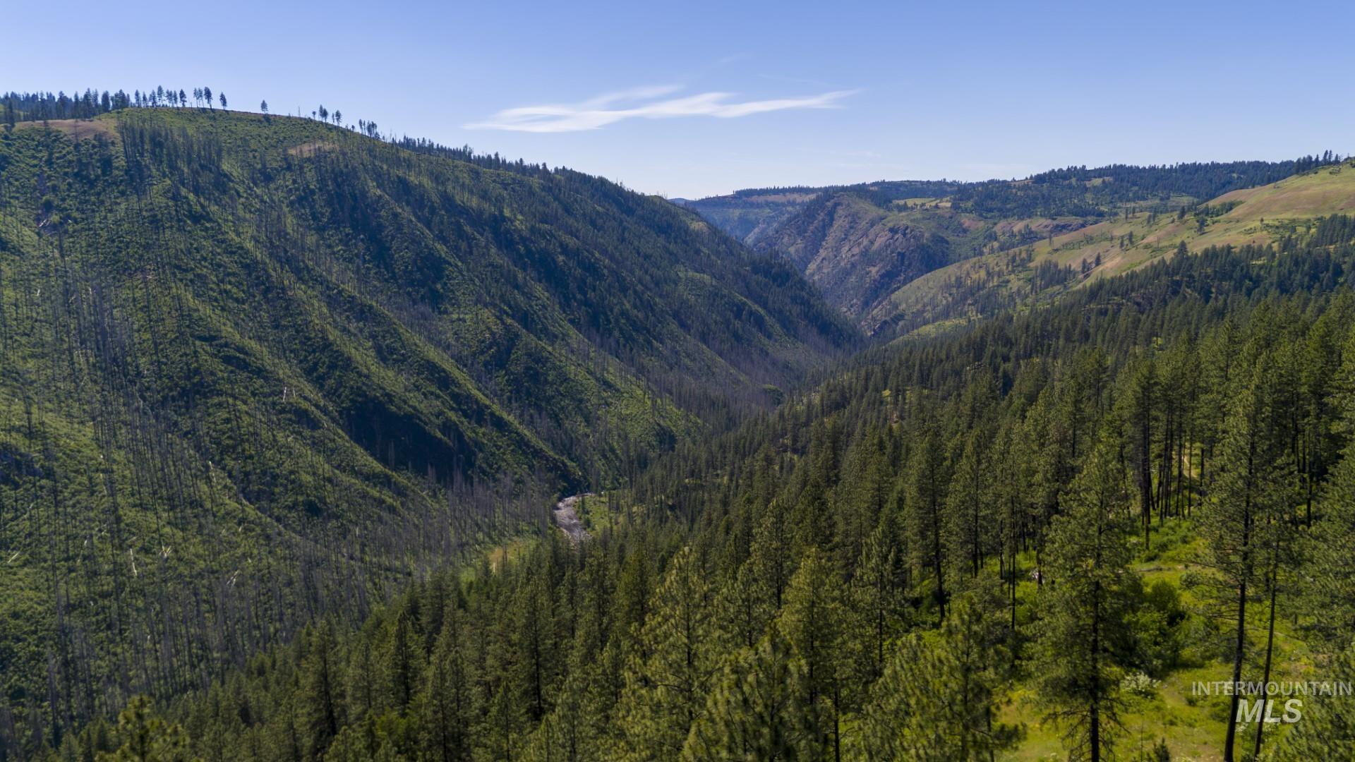 0 Forest Garden Lane Weippe, ID 83553 - Photo 3 of 17