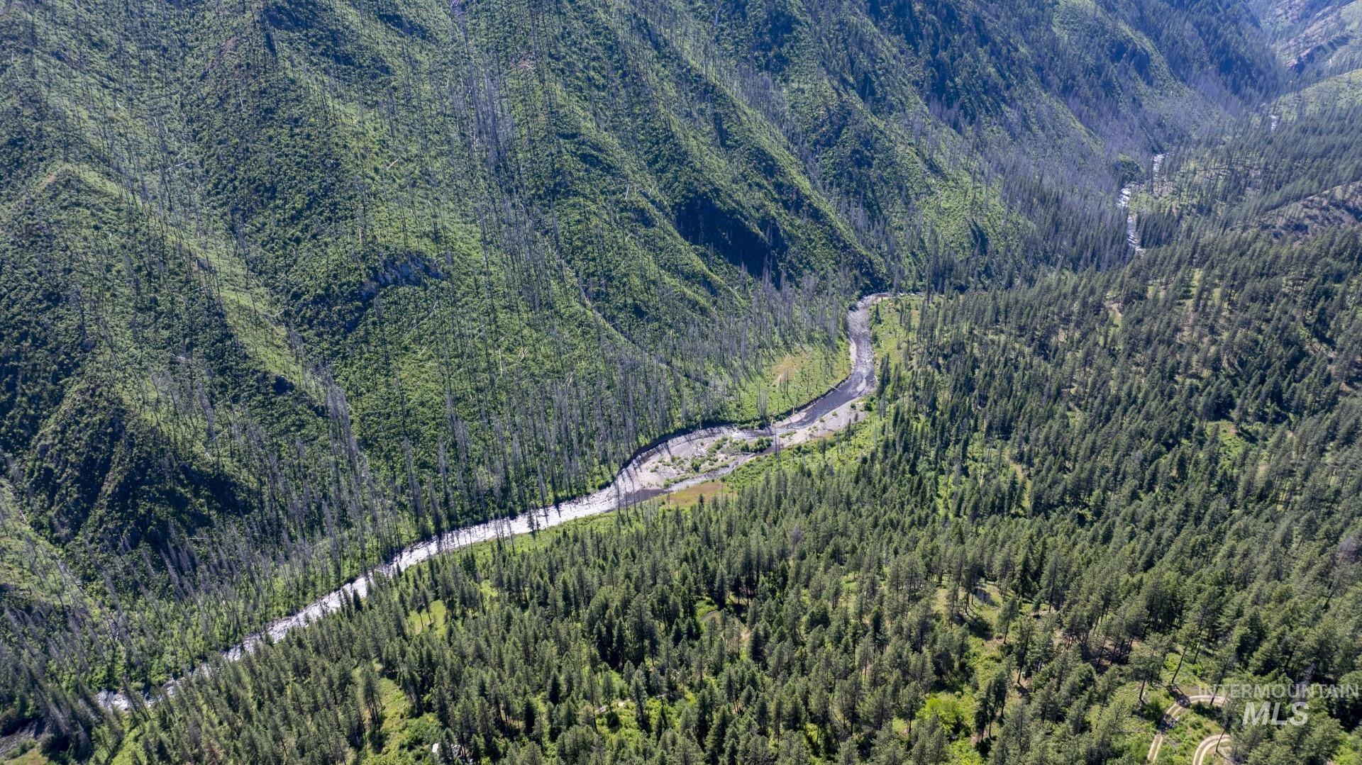 0 Forest Garden Lane Weippe, ID 83553 - Photo 4 of 17