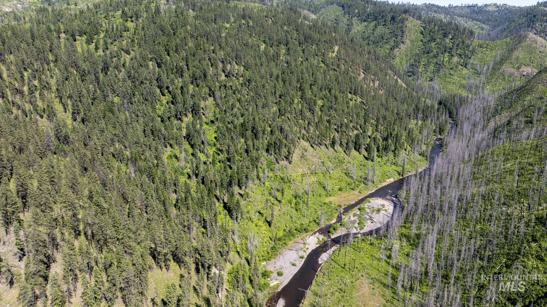 0 Forest Garden Lane Weippe, ID 83553 - Photo 5 of 17