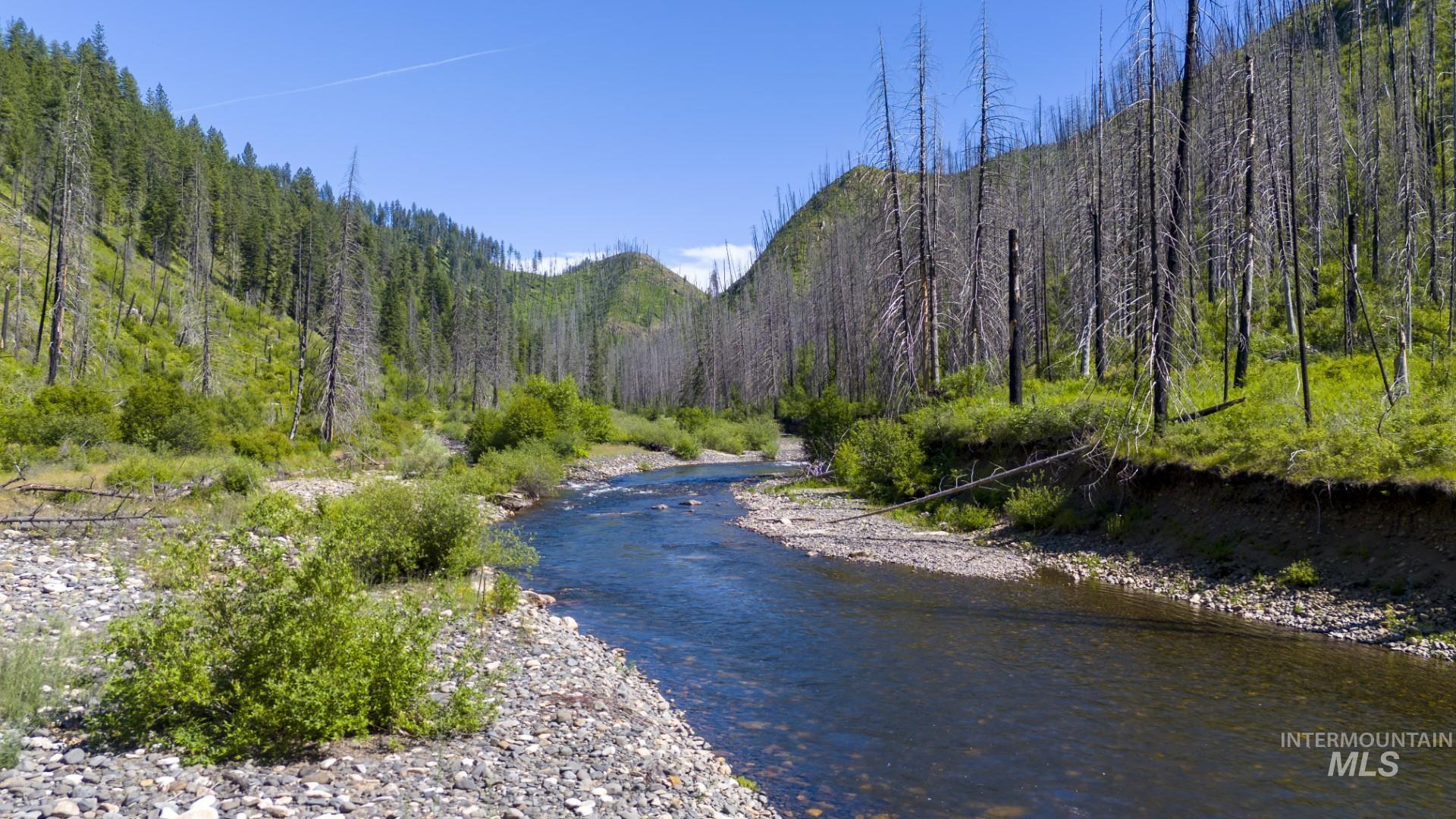 0 Forest Garden Lane Weippe, ID 83553 - Photo 8 of 17