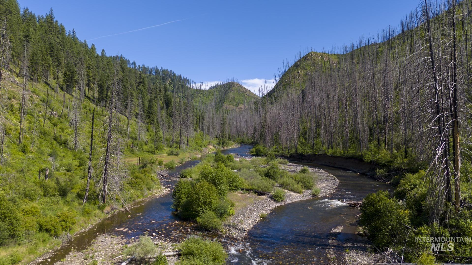 0 Forest Garden Lane Weippe, ID 83553 - Photo 9 of 17