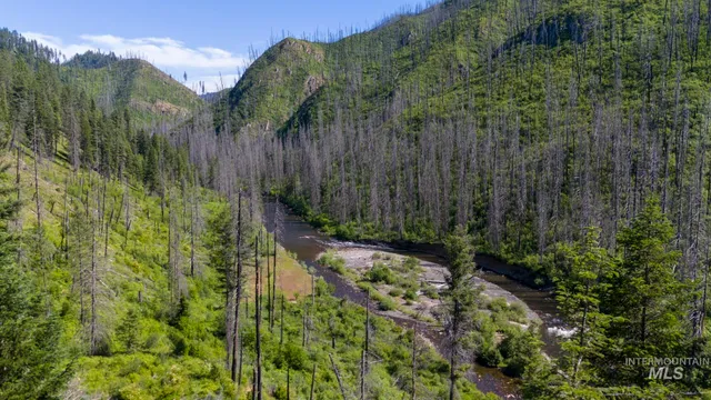 $149,900 | 0 Forest Garden Lane, Weippe, ID 83553