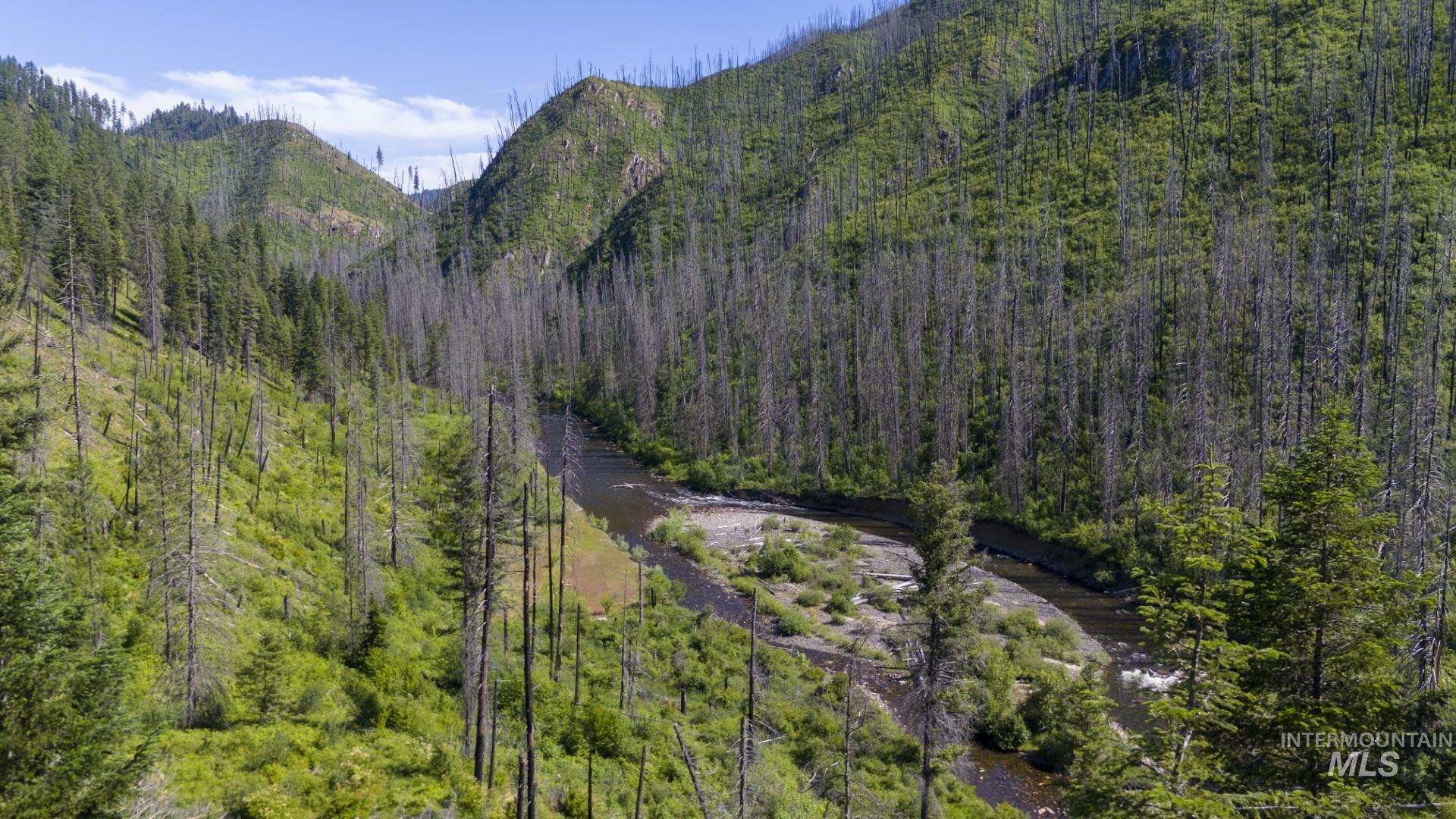 0 Forest Garden Lane Weippe, ID 83553 - Photo 10 of 17