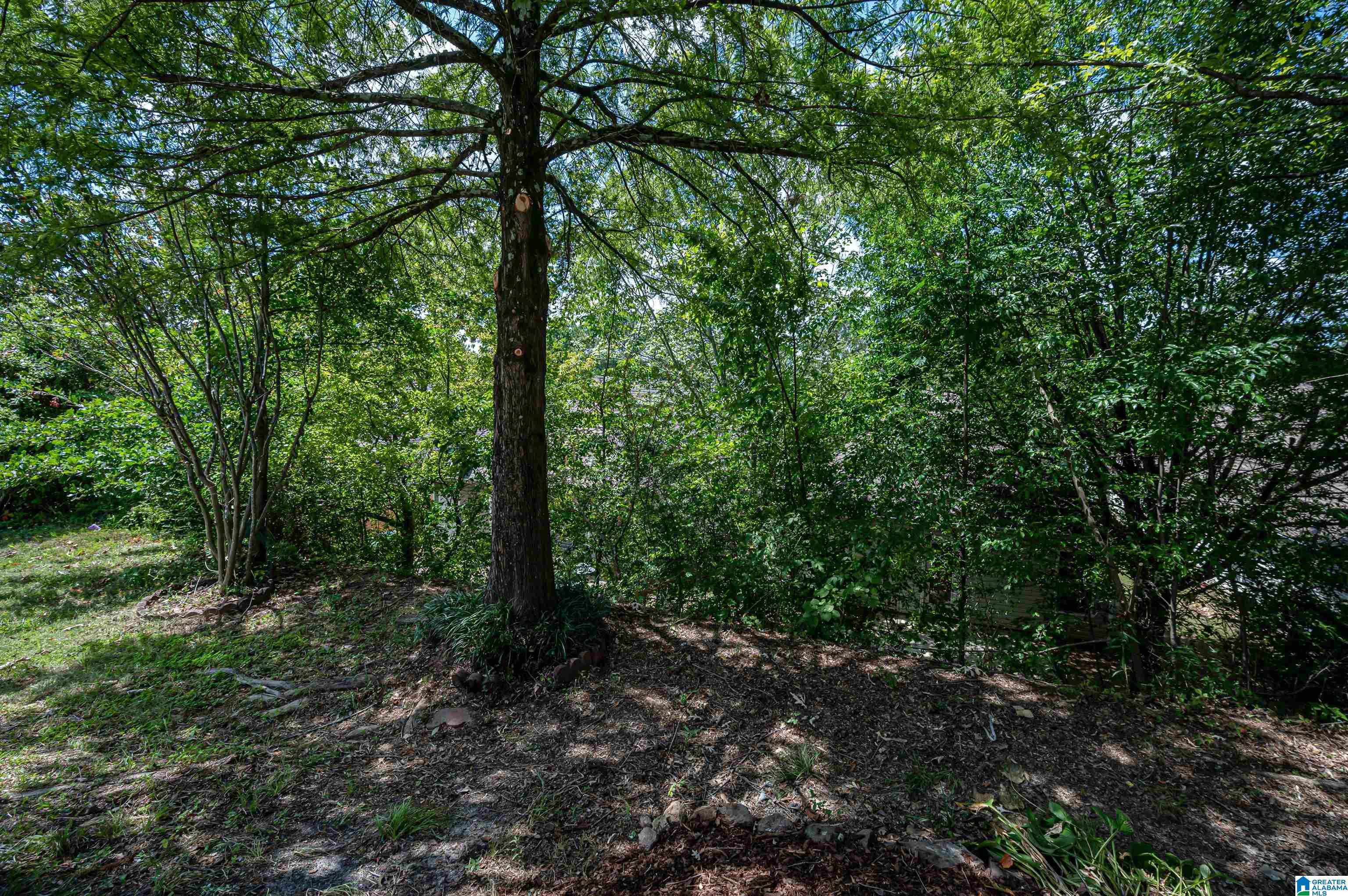 103 Highview Cove Pelham, AL 35124 - Photo 38 of 39 Gallery Image 38