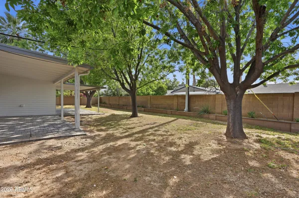 a view of a yard with a tree