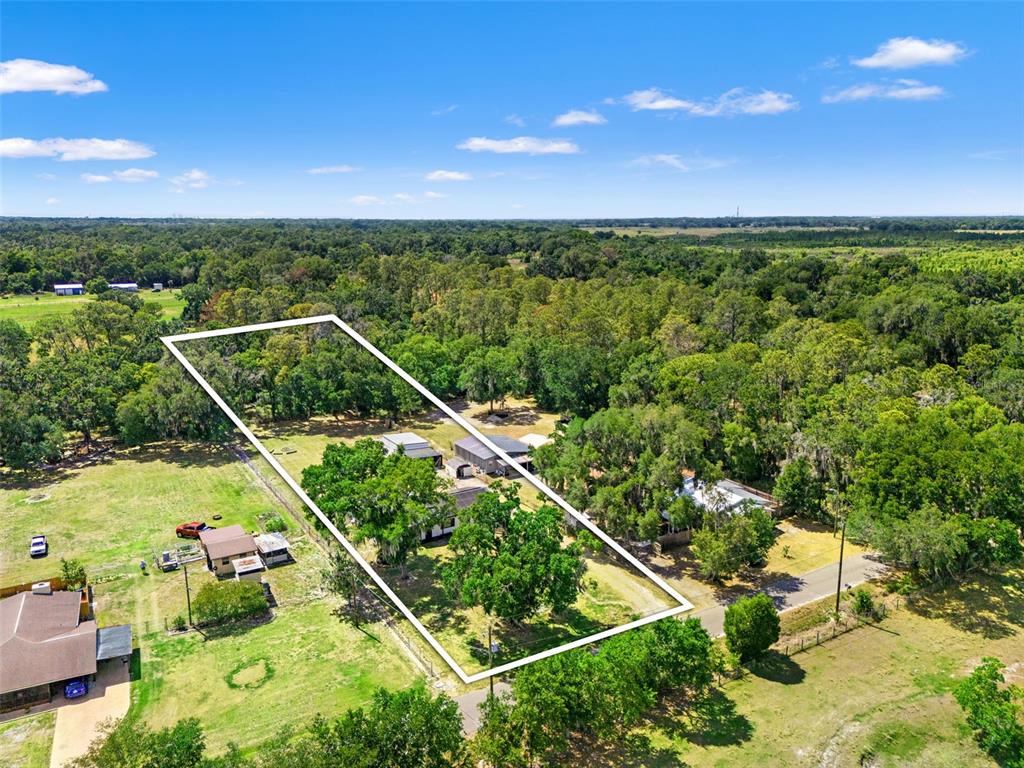 2111 Hinson Road Dover, FL 33527 - Photo 38 of 45