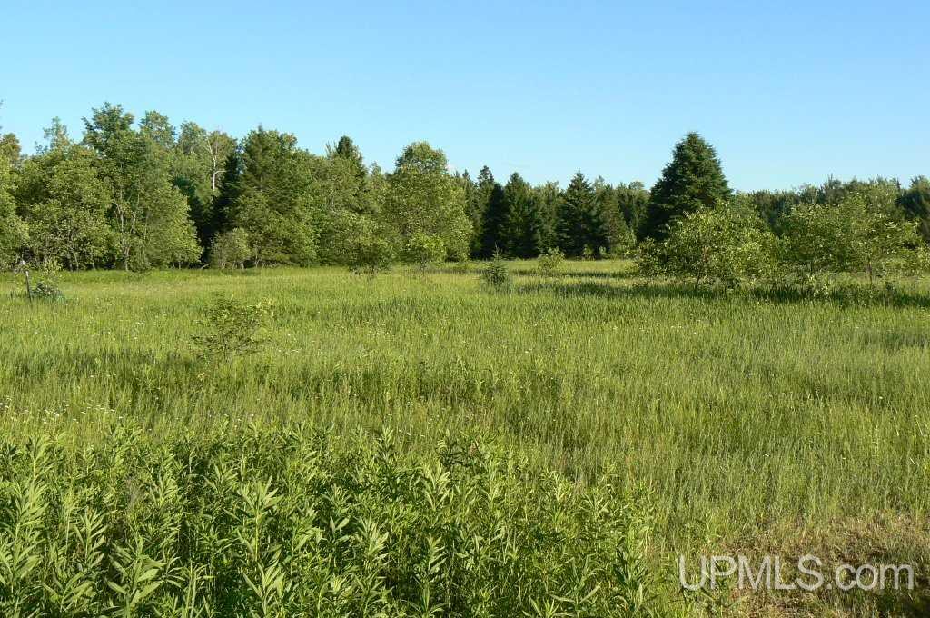N2573 Et Road Trenary, MI 49891 - Photo 6 of 33