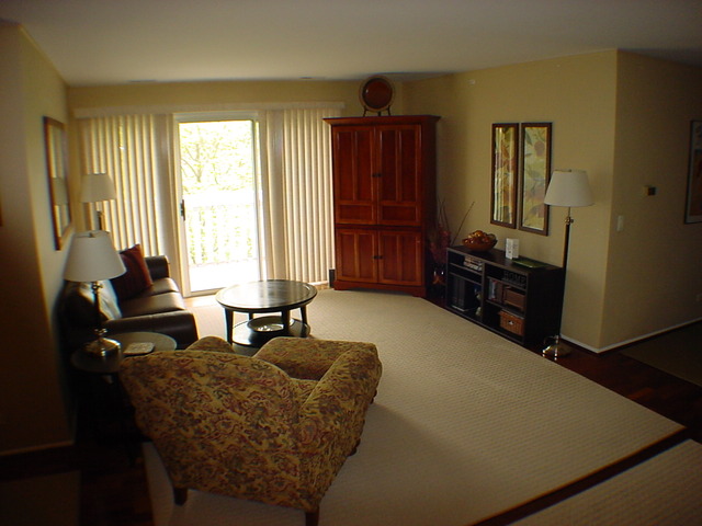 166 Hemingway Court, Unit 252 Vernon Hills, IL 60061 - Photo 4 of 25
