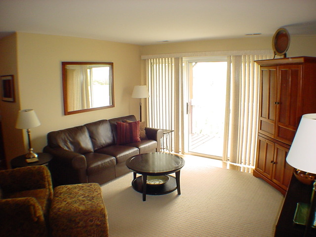 166 Hemingway Court, Unit 252 Vernon Hills, IL 60061 - Photo 6 of 25