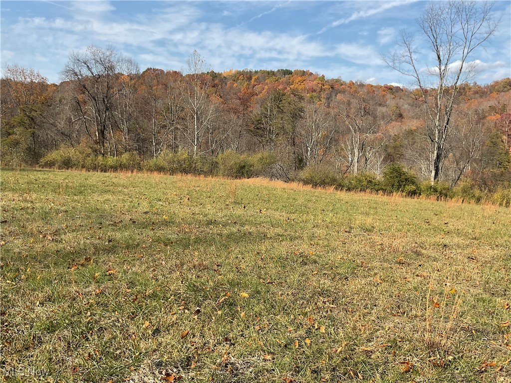 0 White Oak Road Walker, WV 26180 - Photo 6 of 39