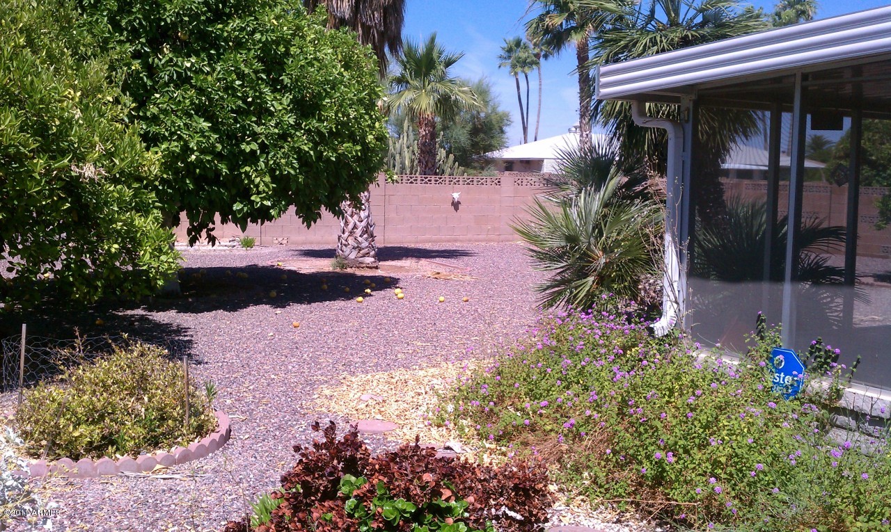 11037 West Oak Ridge Road Sun City, AZ 85351 - Photo 6 of 11 Oak ridge