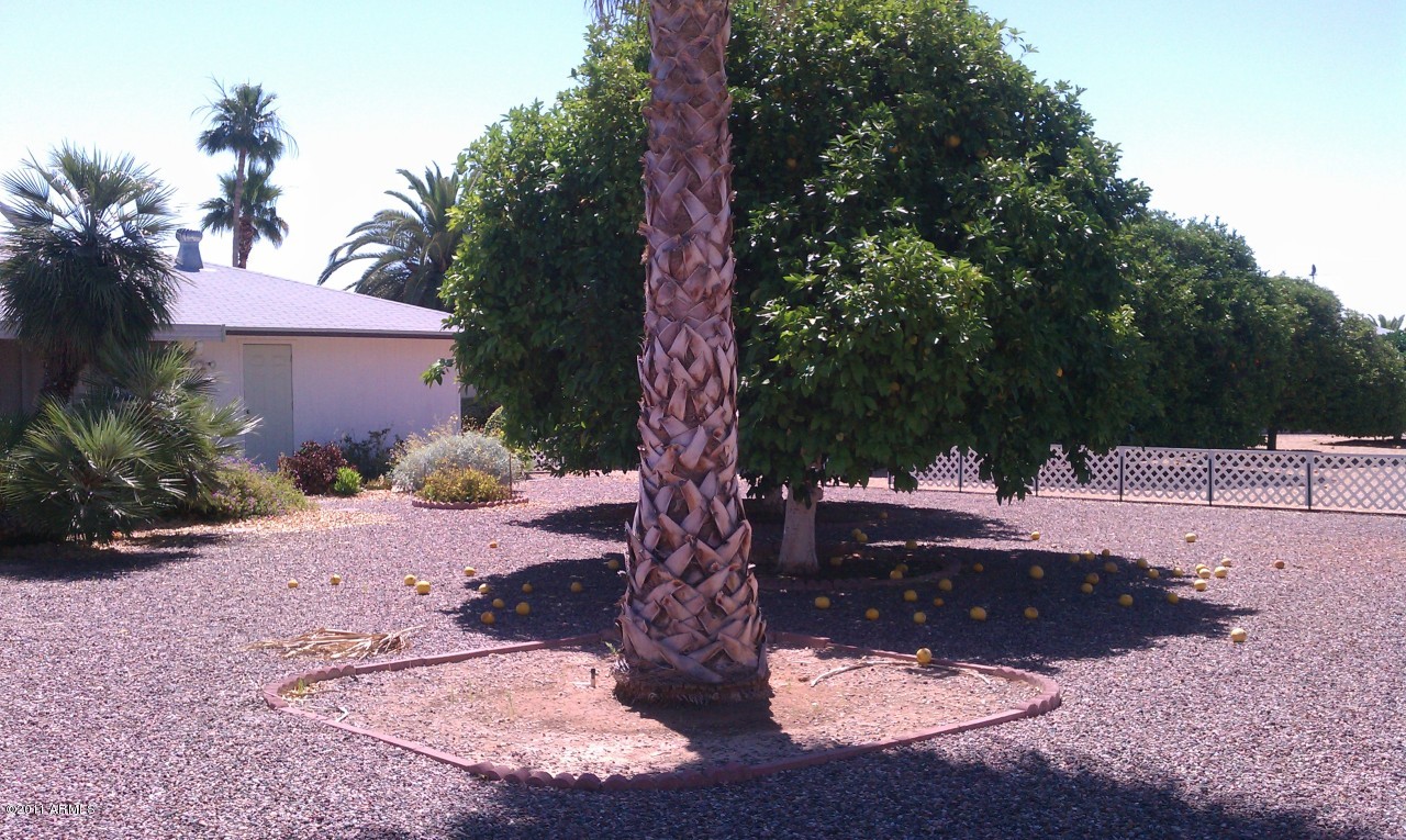 11037 West Oak Ridge Road Sun City, AZ 85351 - Photo 7 of 11 Oak ridge