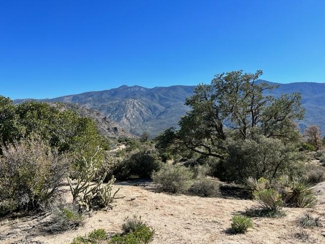 a view of a dry yard with mountains in the background