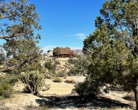 0 San Lorenzo Road Mountain Center, CA 92561 - Photo 2 of 9 a view of a dry yard