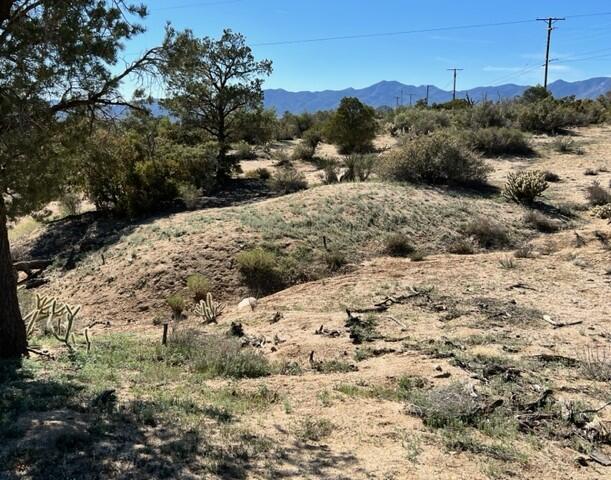 0 San Lorenzo Road Mountain Center, CA 92561 - Photo 3 of 9 a view of a dry yard covered with snow