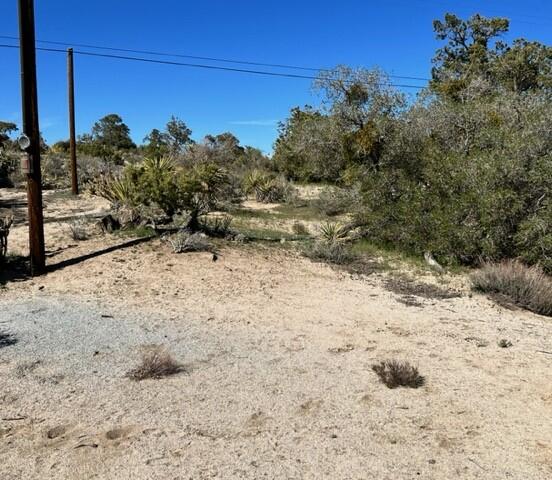 0 San Lorenzo Road Mountain Center, CA 92561 - Photo 4 of 9 a view of a yard covered in snow
