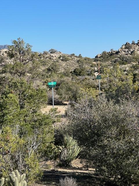 0 San Lorenzo Road Mountain Center, CA 92561 - Photo 5 of 9 a view of a city