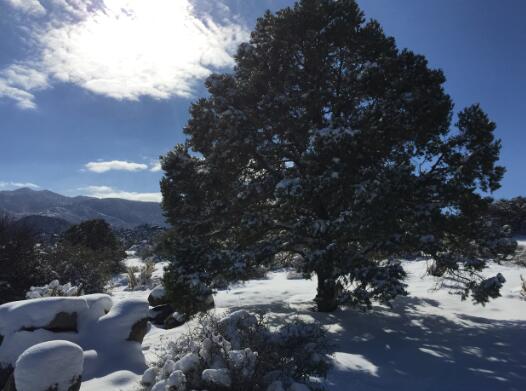 0 San Lorenzo Road Mountain Center, CA 92561 - Photo 8 of 9